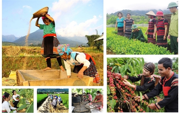 Phú Yên xây dựng kế hoạch phòng chống hạn cho vụ hè thu