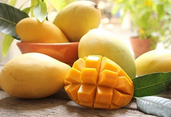 Thắt chặt quản lý các khu vực trồng và cơ sở chế biến thanh long.